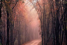 PG电子：普及残障体育从小做起 新基金助残障活动社群扩大规模.