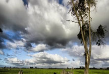 PG电子：英格兰足总杯：曼市逆转战胜莱顿东方 晋级下一圈.