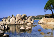 唐斯32+20尼克斯大胜森林狼 开拓者险胜掘金.